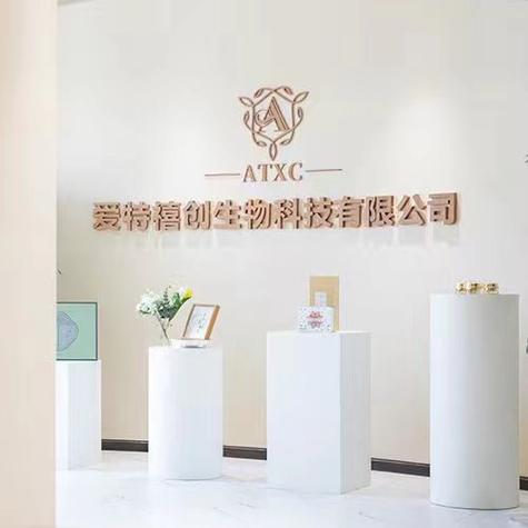 技术赋能与民生融合 构建现代化服务生态的探索与实践
